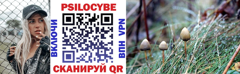Псилоцибиновые грибы Psilocybe купить наркотик Анжеро-Судженск