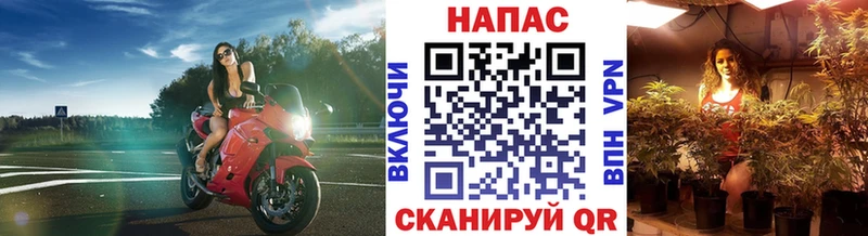 закладка  Анжеро-Судженск  Бошки марихуана марихуана 